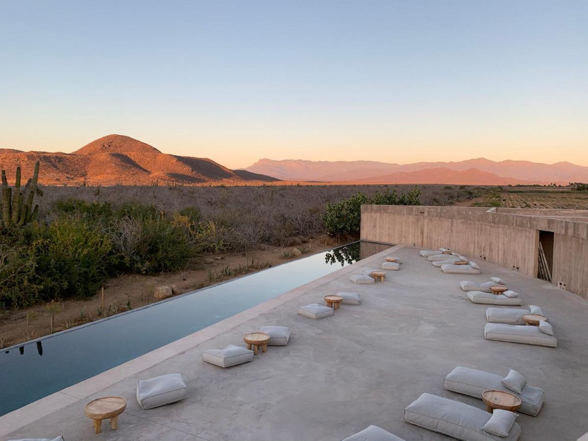 Paradero Todos Santos - Exclusive Experiences Included Esterno foto